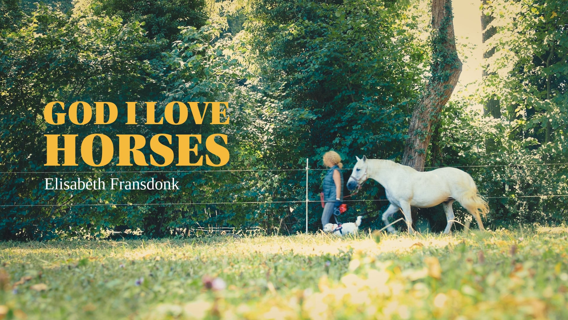 God, I Love Horses